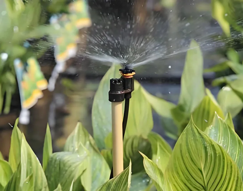 Micro-sprinklers