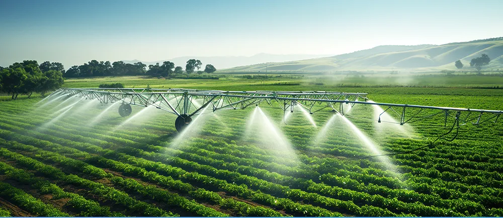 Irrigation