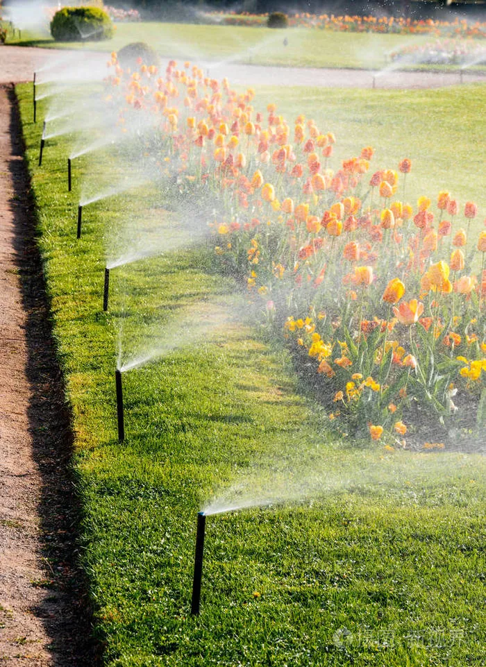Landscape Irrigation
