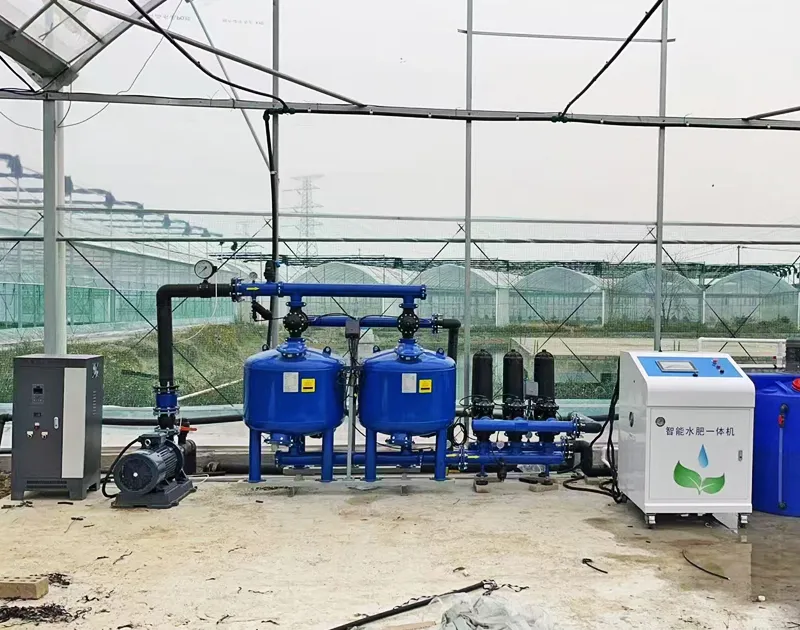 China Gansu Tomato Cultivation Project