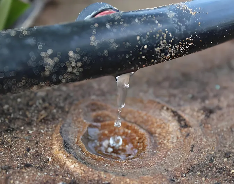 Drip Irrigation