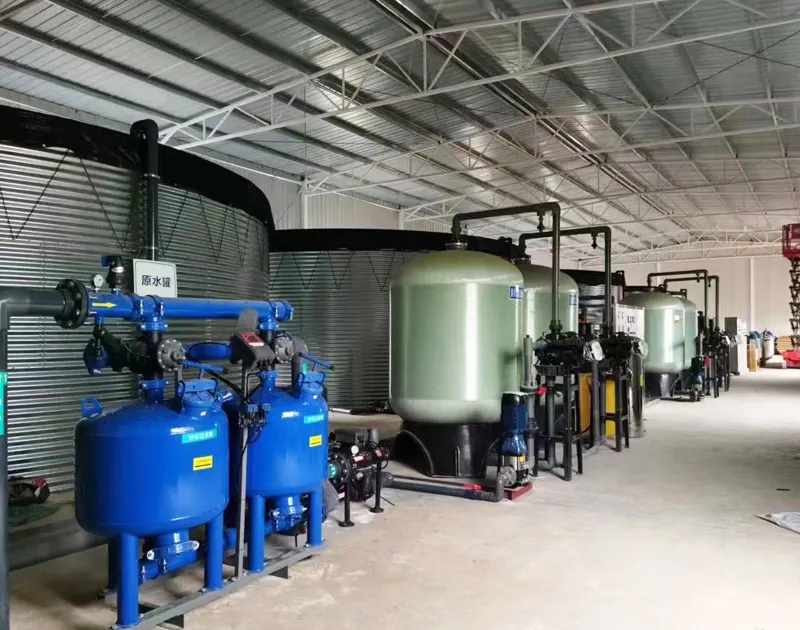 China Yunnan Blueberry Substrate Cultivation Project